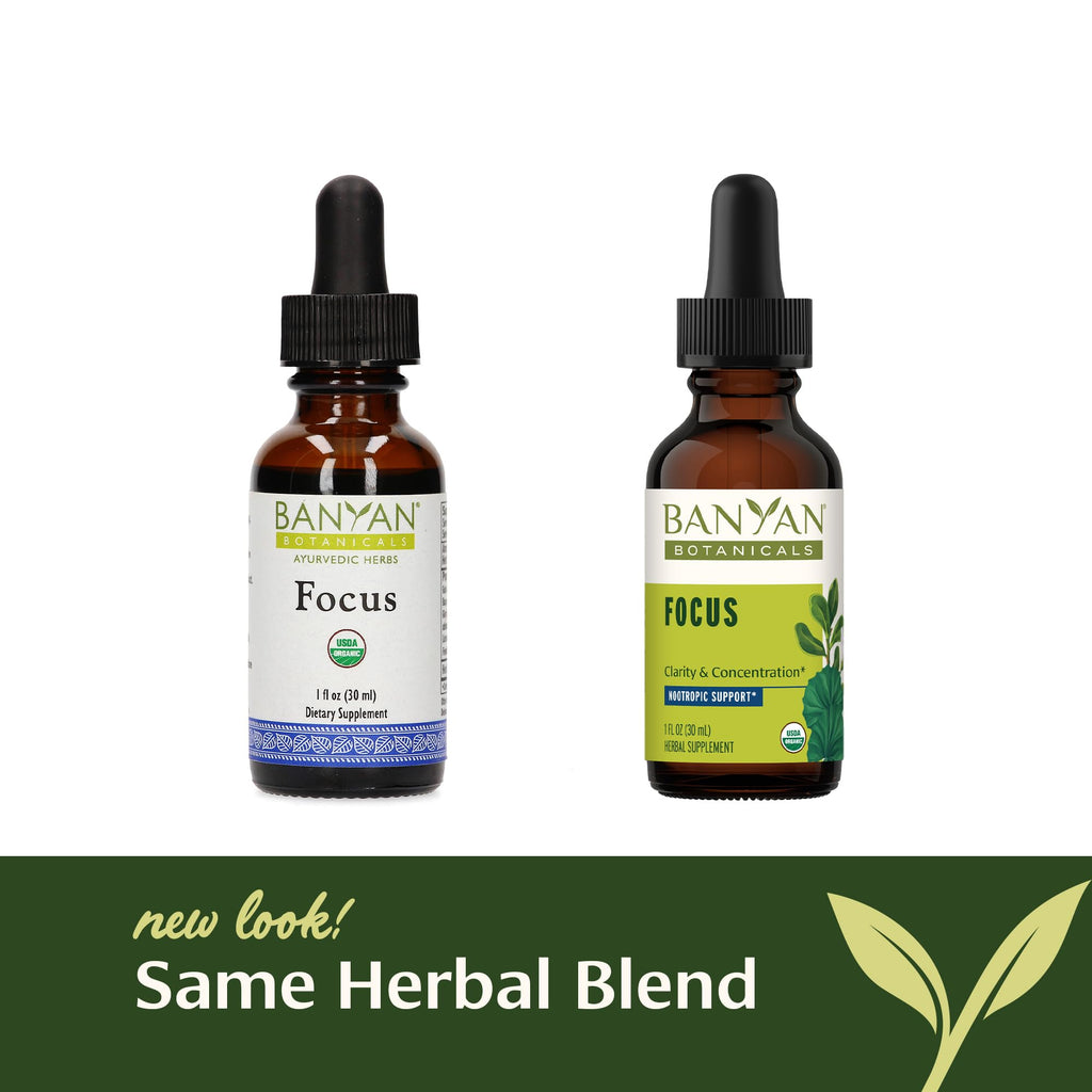 Banyan Botanicals Focus Liquid Extract – Organic Focus Supplement – Liquid Extract in Non-Alcoholic Glycerin – Nootropic Herbs for Fast-Acting Support* – 1 oz. – Non-GMO Sustainably Sourced Vegan