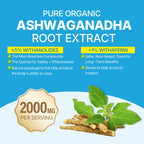 Ashwagandha Gummies 2000mg for Women Men - Sugar Free, Vegan - Organic Ashwagandha Root Extract Supplements Gummy & Vitamin D3, B12 and Turmeric, Promote Relaxation, Mixed Berry Flavor, 120 Count