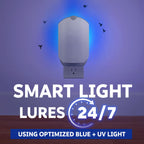 Zevo Flying Insect Trap - Plug-in Indoor Fly Trap and Bug Light Trap Refill with Blue and UV Light - No-Mess Cartridge for House Flies, Fruit Fly Trap and Gnats (1 Plug-in Base and 3 Cartridges)