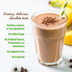 Orgain Organic Vegan Protein Powder, Creamy Chocolate Fudge - 21g Plant Protein, 6g Prebiotic Fiber, Low Net Carb, No Lactose Ingredients, No Added Sugar, Non-GMO, For Shakes & Smoothies, 2.03 lb