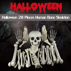 XONOR 28 Pieces Skeleton Bones and Skull for Halloween Decor or Spooky Graveyard Ground Decoration (28PCS)