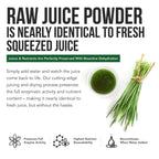 Organic Wheatgrass Juice Powder - Organic, Grown in Volcanic Soil of Utah - Raw BioActive Form, Cold-Pressed Then CO2 Dried, 20:1 Concentrate Juice Extract - Unflavored (5.3 oz – 60 Servings)