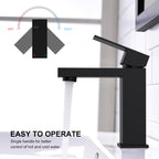 KENES Matte Black Single Handle Bathroom Sink Faucet, Stainless Steel Vanity Faucet for Bathroom Sink, with Pop Up Drain Stopper & Water Supply Hoses LJ-9031-2