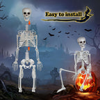 XONOR 3ft Halloween Skeleton Human Full Body Skeleton Decorations for Halloween Party Haunted House Supplies (1pc)