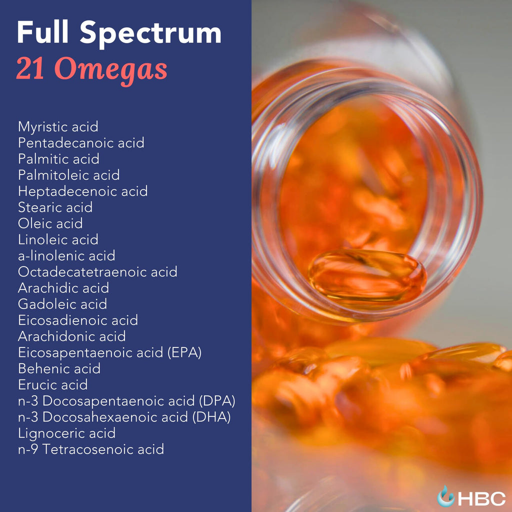 High Strength Omega 3 Fish Oil - 1000mg, Norwegian Salmon Oil with EPA & DHA, No Burping or Aftertaste, Omega 3 Fatty Acids Supplement for Eye, Brain & Heart, Triglyceride Form - 180 Capsules