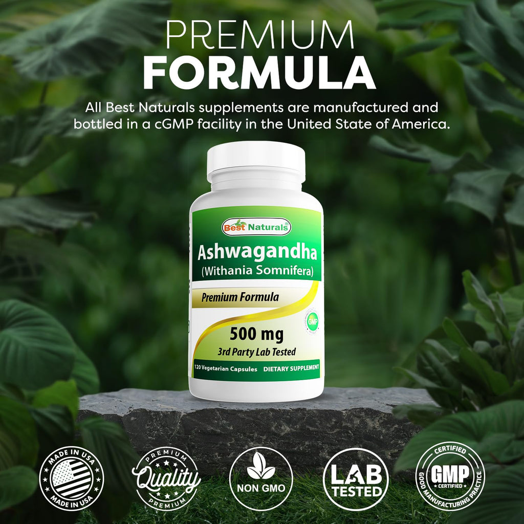 Best Naturals Ashwagandha Extract 500 Mg 120 Capsules (Pack of 2)