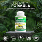 Best Naturals Ashwagandha Extract 500 Mg 120 Capsules (Pack of 2)