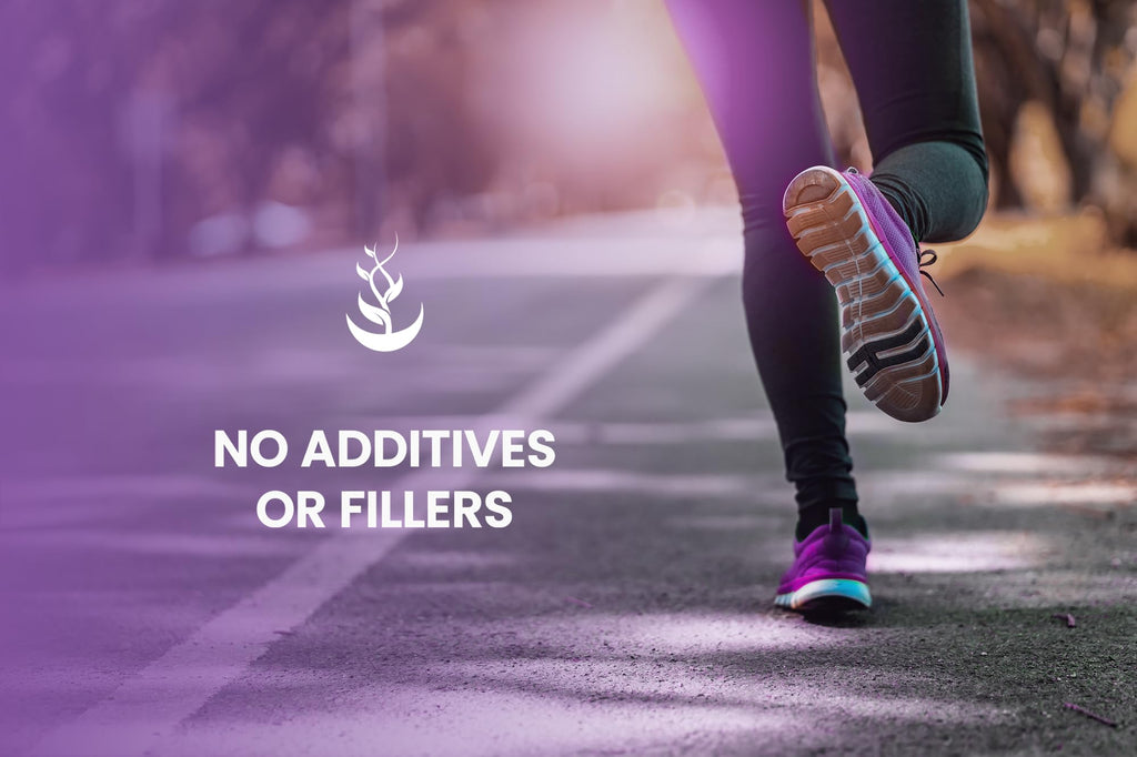 Pure Original Ingredients Vitex Berry (Chasteberry) (365 Capsules) No Magnesium Or Rice Fillers, Always Pure, Lab Verified