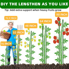 Fabulas Garden Stakes 16 Inch 30 Pack, Diy 4ft 5ft 6ft 7ft 8ft Tomato Stakes Plastic Coated Metal Plant Sticks Stakes Supports with 20 Connectors 15 Rotatable Clips for Indoor Outdoor Plants Vegetable