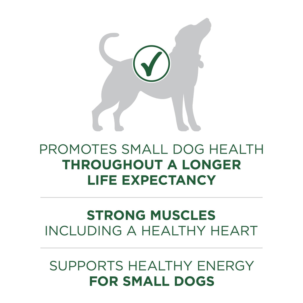 Purina ONE Plus Small Breed High Protein Dry Dog Food, Lamb, 7.4 lb Bag
