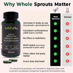 Whole Broccoli Sprout Capsules, 6–10mg Sulforaphane Yield, No Extracts