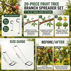 IXIGER 20 PCS Tree Limb Spreader Set – Fruit Tree Branch Puller, Heavy-Duty Limb Spreaders for Fruit Trees with Branch Support Function (7 Inch & 10 Inch)