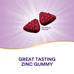 Nature's Way Zinc Gummies, Adult & Kids 9+ Immune Support Gummies*, 100% Daily Value per Serving, Mixed Berry Flavor, 120 Chews (Set of 2)