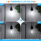 MAXvolador 20-Pack Vintage Edison LED Bulbs 6W, 60W Equivalent Dimmable ST58 Filament Bulb 5000K Daylight White, E26 Base, 850 Lumens