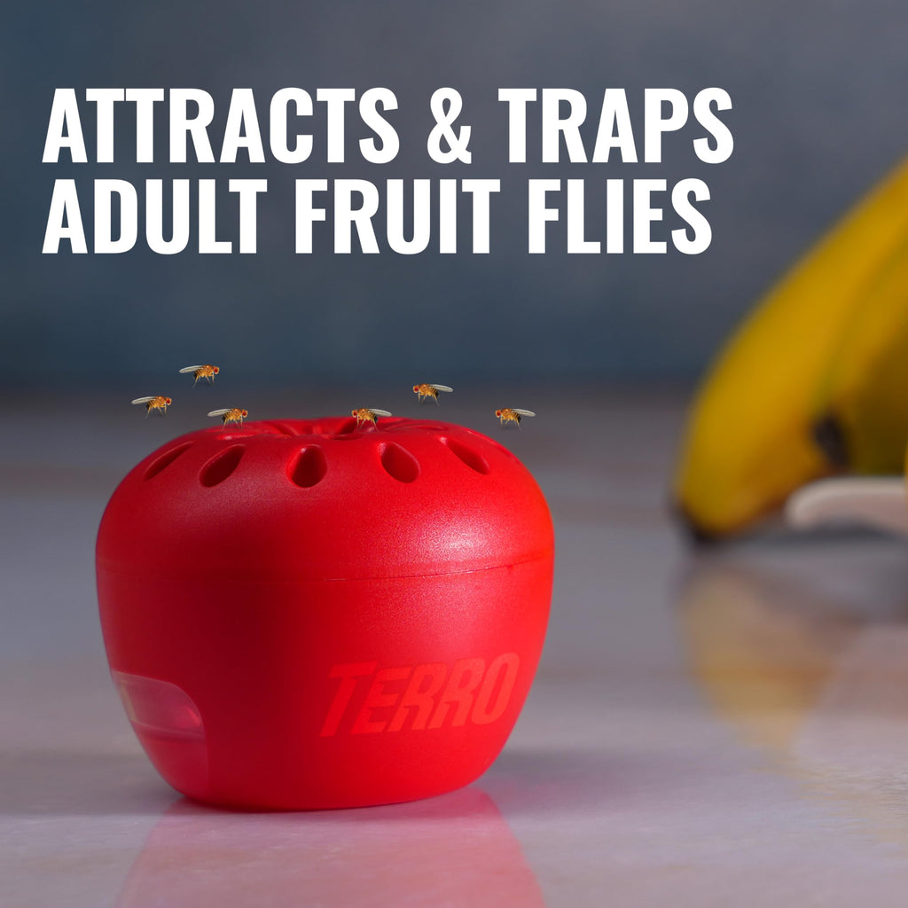 TERRO Fruit Fly Trap, 6-Pack Indoor Fly Traps with 270 Days Lure Supply