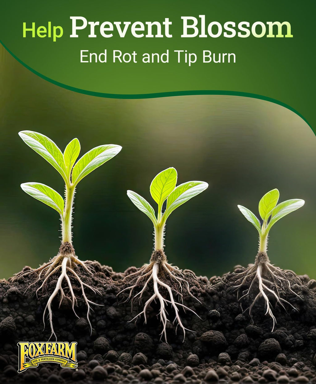 FoxFarm Cultivation Nation Cal-Mag for Plants - 4-0-0, 3% Calcium, 1% Magnesium - 1-Quart