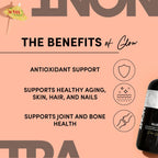 Tranont Glow Liquid Collagen for Women | Multi Collagen Peptides with Hyaluronic Acid & Biotin | Hair, Skin & Nail Support | Hydrolyzed Collagen Shot | Piña Colada | 15 fl oz