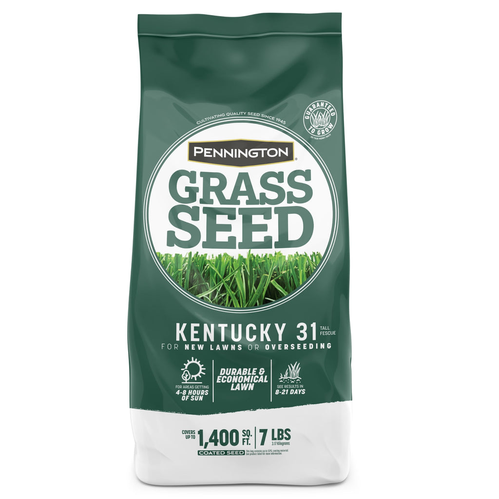 Pennington Kentucky 31 Tall Fescue Grass Seed, Drought-Resistant, 7 LB