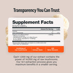 FreshCap Mushrooms Lions Mane Supplement Capsules 14,000mg - Lion's Mane, High Potency Extract, 14:1 Organic Mushroom Supplement, Ayurveda Focus Made in USA (120 Capsules)
