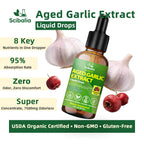 Aged Garlic Extract Liquid Drops, Odorless Garlic Supplement with CoQ10 Cayenne Hawthorn Berry Nattokinase Omega-3 Vitamin B6 & B12 for Heart Immune Health Support, Grown Allium Sativum Bulb