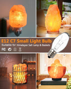 Snnalosses Wax Warmer Bulbs - 15W C7 Replacement Bulbs for Scentsy Wax Melt Warmer, Himalayan Salt Lamps, Plug-in Diffusers - Warm White, Dimmable, 15 Packs