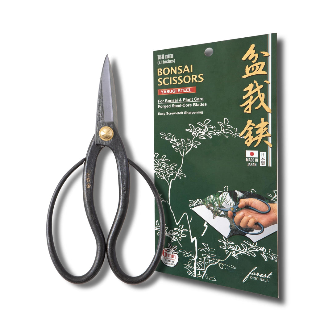 SenkichiKin Bonsai Scissors 7in (180mm) – Made in Japan Pruning Shears, Sharp Carbon Steel for Precision Trimming, Lightweight Tool for Bonsai, Flowers & Indoor Plants, forest Originals