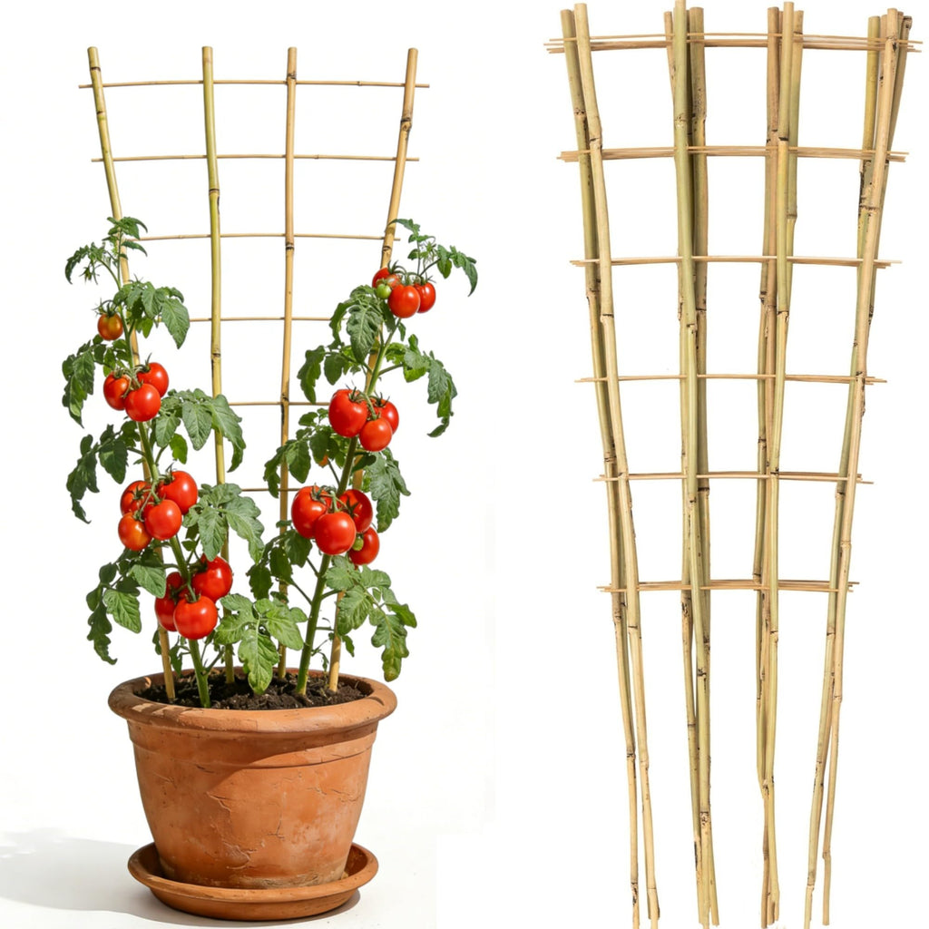 4 Feet Natural Bamboo Trellis 3 Pack, Oltara Fan-Shaped Plant Support Trellis for Outdoor and Indoor Climbing Plants, Potted Plants, Vegetables, Cucumbers, Tomatoes