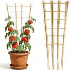 4 Feet Natural Bamboo Trellis 3 Pack, Oltara Fan-Shaped Plant Support Trellis for Outdoor and Indoor Climbing Plants, Potted Plants, Vegetables, Cucumbers, Tomatoes
