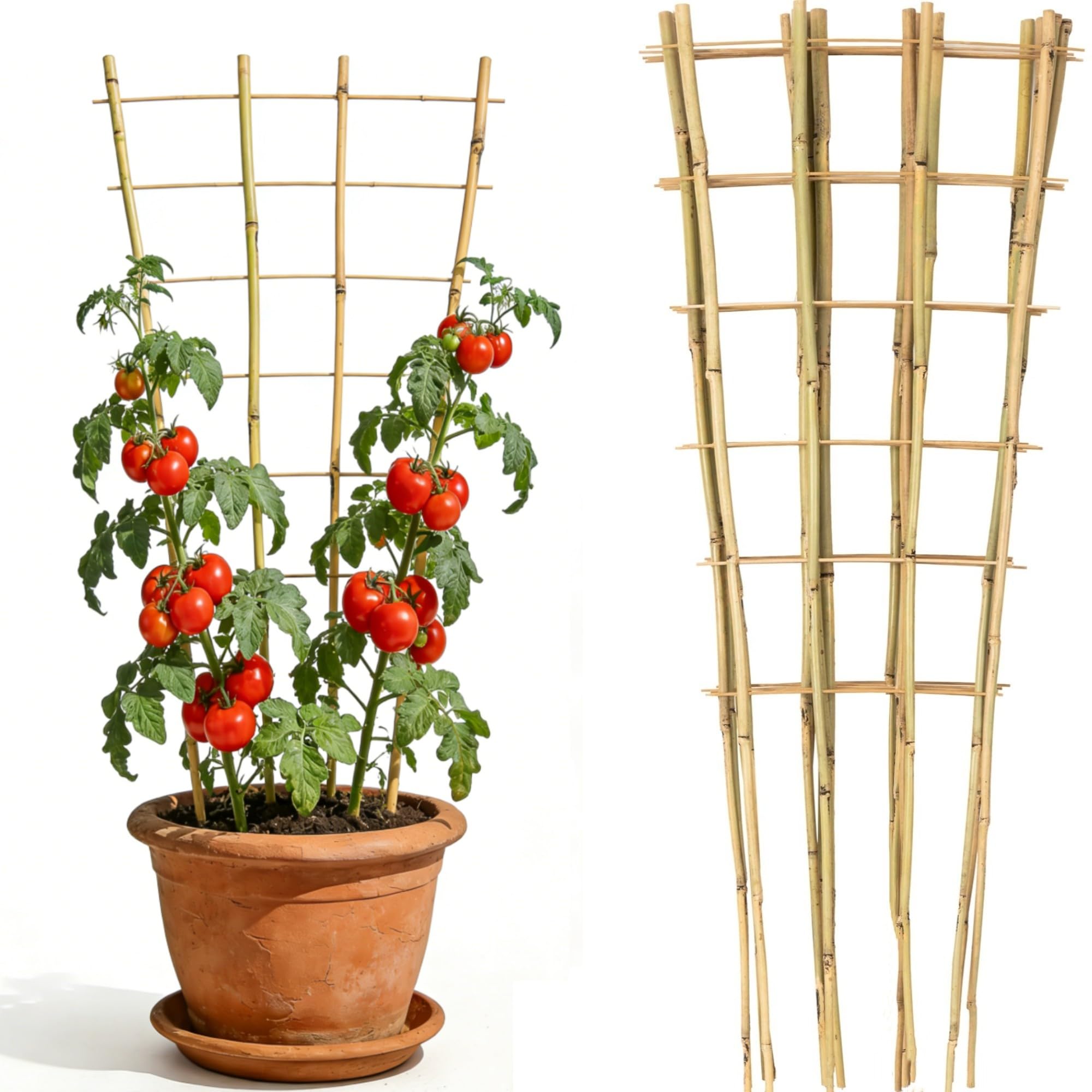 4 Feet Natural Bamboo Trellis 3 Pack, Oltara Fan-Shaped Plant Support Trellis for Outdoor and Indoor Climbing Plants, Potted Plants, Vegetables, Cucumbers, Tomatoes