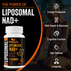 Rossylla Liposomal NAD+ Supplement, 1300 mg per Serving, NAD Plus Supplement with Liposomal Delivery, Supports Cellular Energy and Healthy Aging, 120 Softgels