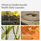Humann Cholesterol, Metabolic & Cardiovascular Health Daily Bundle, 180 Total Capsules (3 x 60ct Bottles), 30-Day Supply