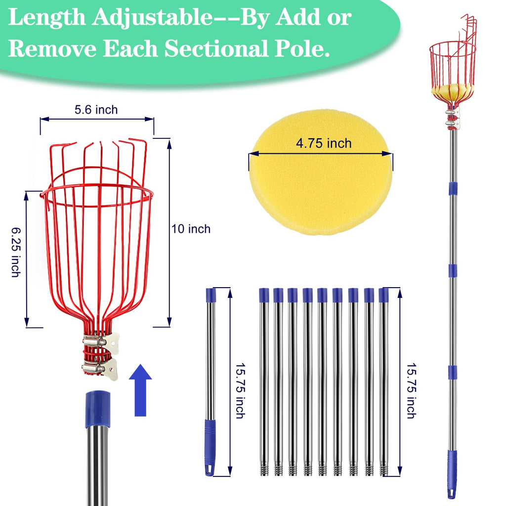 Qiullen 13 FT Extendable Fruit Picker Pole Tool Adjustable Long Handle Fruit Picker Metal Basket Fruit Grabber Tool with Protective Foam Pad Stainless Steel Garden Picker Tool for Apple Mango Lemon