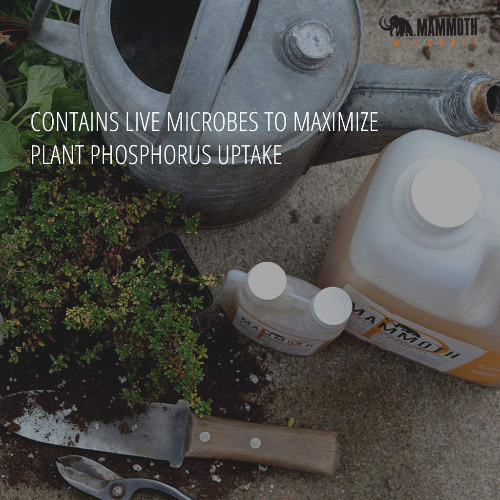 Mammoth Mammoth P 1 Litre Organic Microbial Inoculant Fertilizer