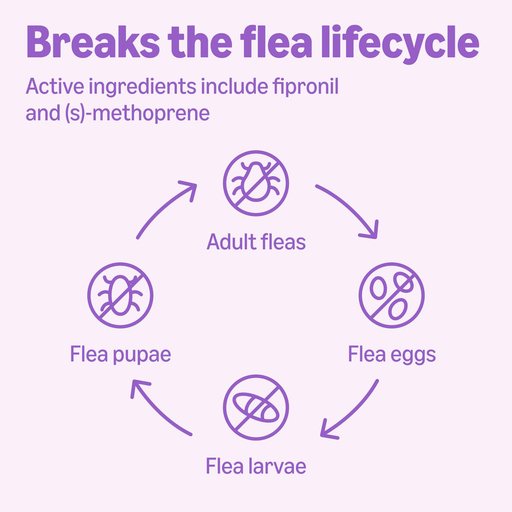 Amazon Basics Flea and Tick Topical Treatment and Prevention for Large Dogs (45-88 lbs), Fast Acting and Long Lasting, 3 Count, Packaging May Vary