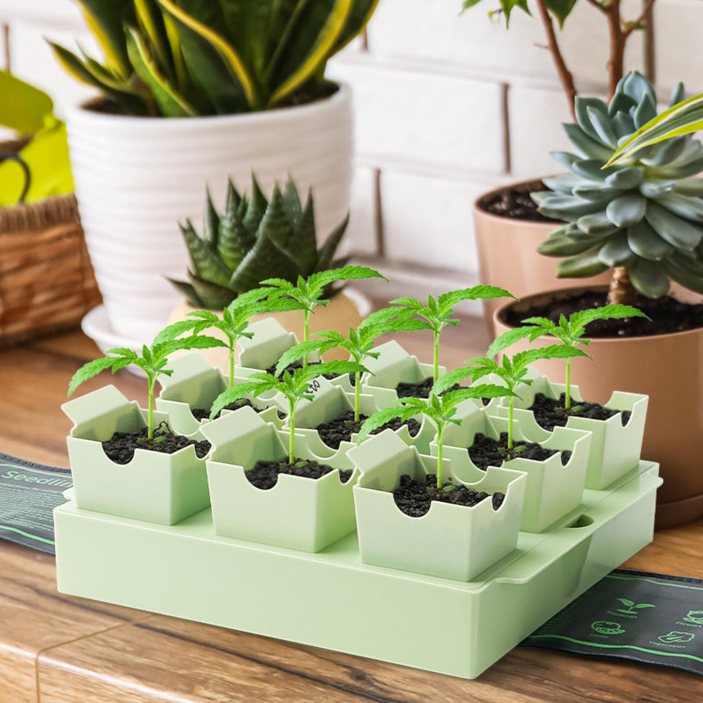 GREENBAZZAR Seed Starter Tray with Lift-Out Handles for Easy Transplanting