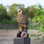 RKGOMDMU 13.3 - inch Owl Decoy Decor Outdoor Statue. Ideal for Animal Statues Courtyard Lawn Decoration, Sculptures for Yard and Grassland Adornment, Housewarming Gift.