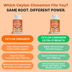 5-in-1 Ceylon Cinnamon Powder Extra Strength – Organic Ceylon Cinnamon Capsules with Turmeric, Apple Cider Vinegar, Korean Ginseng & BioPerine for Metabolism & Energy Support Pills (120 Ct, 2 Pack)