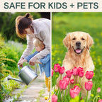 Organic Insecticide & Fungicide for Plants — Indoor/Outdoor Protection to Control Powdery Mildew, Spider Mites, Aphids, Whiteflies, Fungus Gnats — Safe on Vegetables & Lawns — Concentrate Spray, 16oz