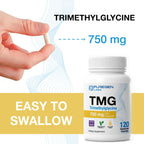 Puregen Labs TMG 750 mg – [High Potency] Trimethylglycine Supplement – Encourages Healthy Homocysteine Levels, Non-GMO, NO Gluten and Dairy - 2 Pack - Total 240 Vegetarian Capsules