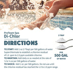 ProTeam Spa Di-Chlor - Hot Tub Chlorine for Hot Tubs and Spa Sanitizer for Hot Tub with SplashWiz Hot Tub Chemicals Care Guide - Made in USA (1 lb)