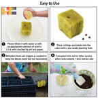 Legigo 1.5 Inch Rockwool Cubes for Hydroponics Seed Starter, Rock Wool Planting Cubes Hydroponic Garden Grow Plugs for Soilless Cultivation Plants Cutting Germination Clone(4 Sheet, 196 Plugs)