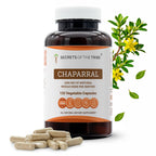 Secrets of the Tribe Chaparral 120 Capsules, 1000 mg, Chaparral (Larrea tridentata) Dried Leaf and Flower (120 Capsules)
