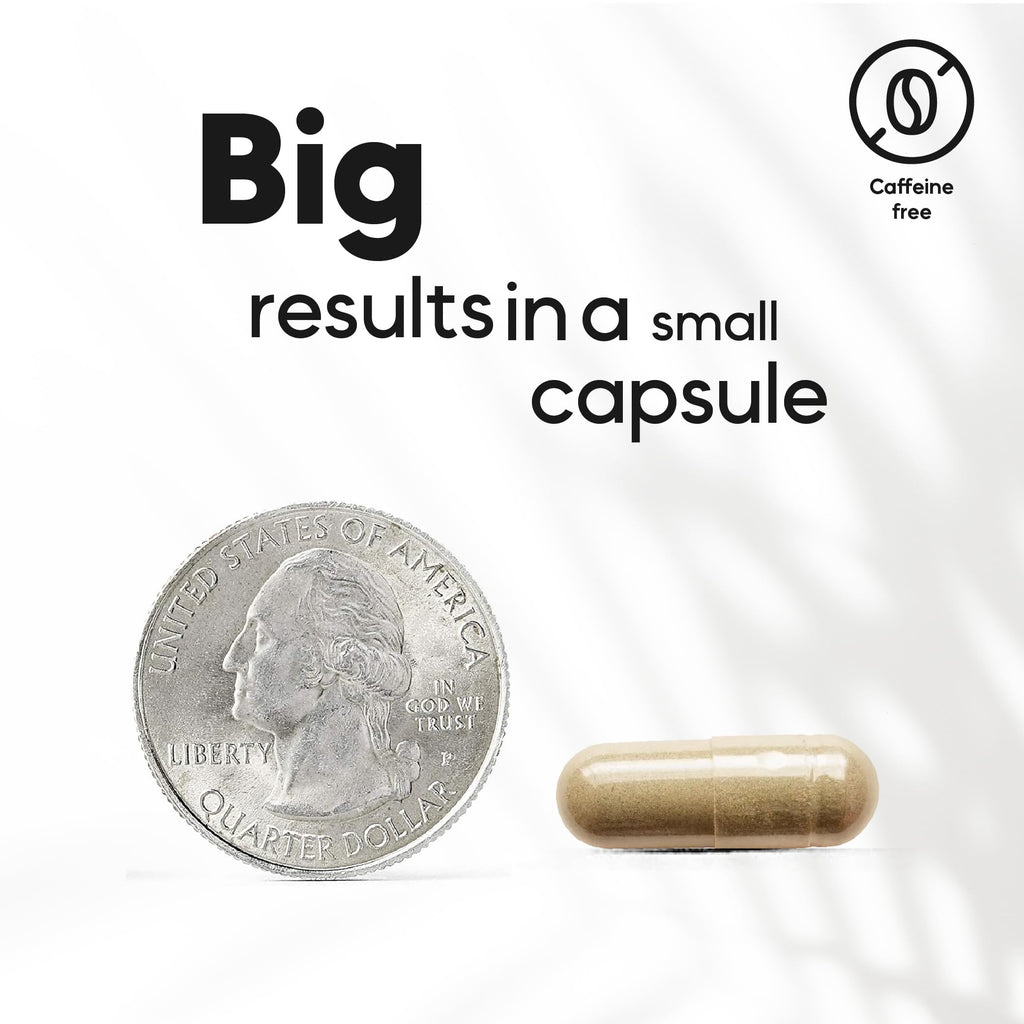 Kaitamin NSF & Eurofins Tested Brain Supplement for Memory & Focus – Nootropic | Ginkgo Biloba, Huperzine A, Bacopa Monnieri, Phosphatidylserine, Caffeine-Free Gelatin (30)
