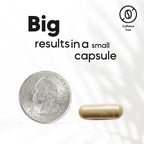 Kaitamin NSF & Eurofins Tested Brain Supplement for Memory & Focus – Nootropic | Ginkgo Biloba, Huperzine A, Bacopa Monnieri, Phosphatidylserine, Caffeine-Free Gelatin (30)