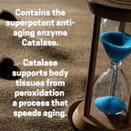 Script Essentials Suzy Cohen Catalase 12,500 CATu Dietary Supplement, Liver Enzyme, Neutralizes Hydrogen Peroxide, Supports Skin, Hair, and Overall Wellness, 30 Delayed-Release Capsules