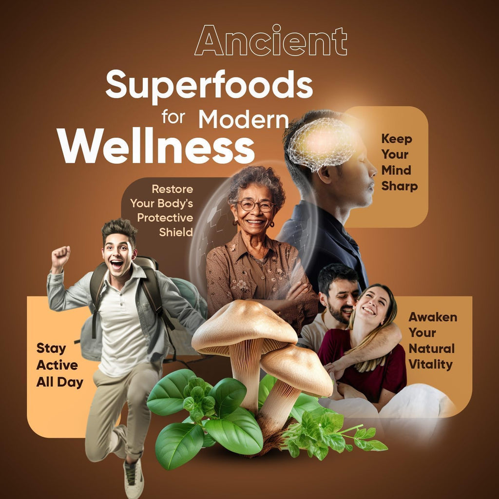 Suiyilary Mushroom Coffee, 10 Mushroom Extract Powder Blend Lion's Mane, Reishi, Chaga, Cordyceps, Turkey Tail, Brain Supplements with Instant Coffee for Energy, Focus, Memory and Immunity 300g