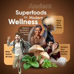 Suiyilary Mushroom Coffee, 10 Mushroom Extract Powder Blend Lion's Mane, Reishi, Chaga, Cordyceps, Turkey Tail, Brain Supplements with Instant Coffee for Energy, Focus, Memory and Immunity 300g