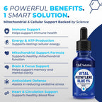 Vital Methylene Blue Drops 1% – Pharmaceutical Grade Methylene Blue for Humans, Supports Cellular Energy & Cognitive Balance, Vegan, Non-GMO – 1 fl oz (30 mL)