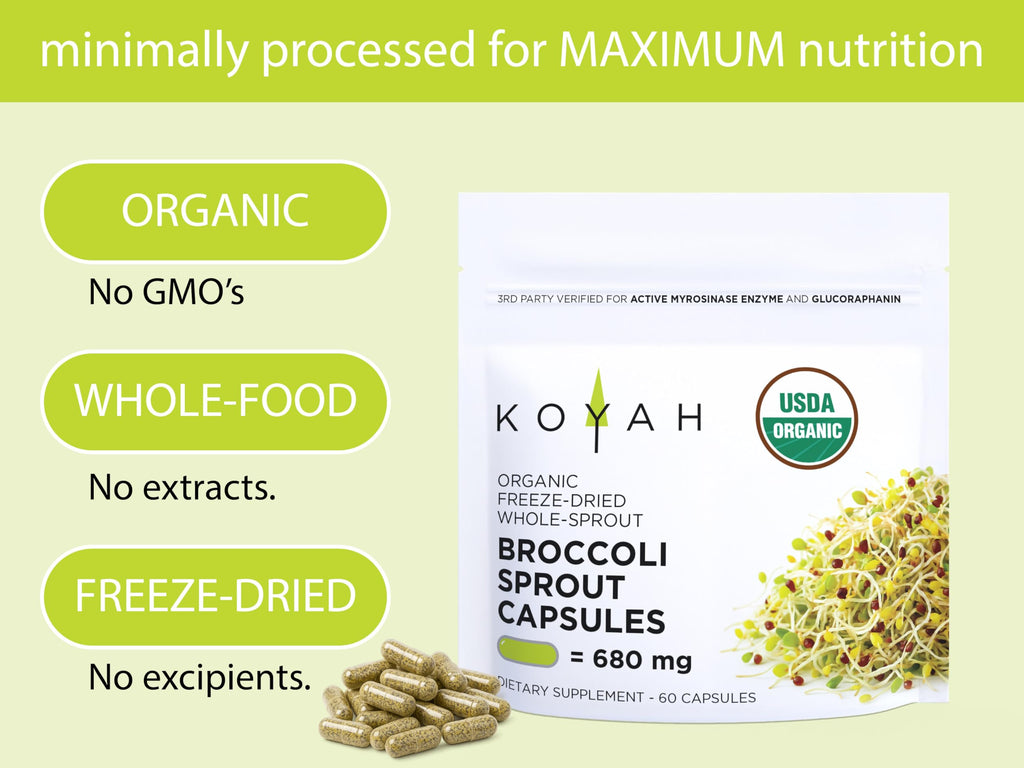 KOYAH - Organic Broccoli Sprout Capsules – Freeze-Dried Whole Broccoli Sprouts – 3rd Party Tested for Active Myrosinase & Glucoraphanin (Sulforaphane Glucosinolate) - 60 Capsules