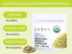 KOYAH - Organic Broccoli Sprout Capsules – Freeze-Dried Whole Broccoli Sprouts – 3rd Party Tested for Active Myrosinase & Glucoraphanin (Sulforaphane Glucosinolate) - 60 Capsules